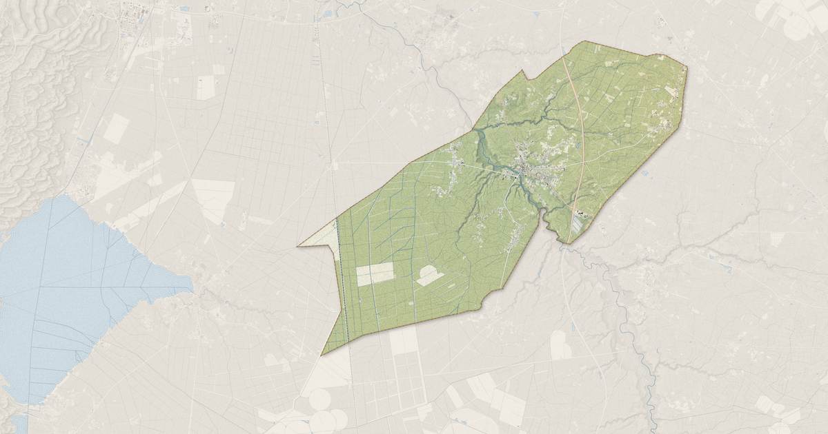 Portrait cartographique de Salles : relief, eau, forêts, bâti et voies, calculés à partir des données de l'IGN