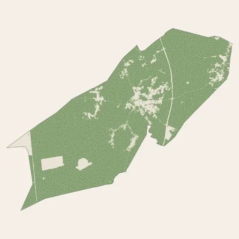 Salles : bois, forêts et landes