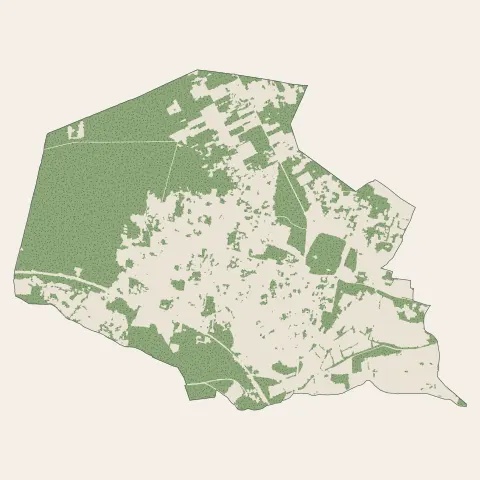 Le Taillan-Médoc : bois, forêts et landes