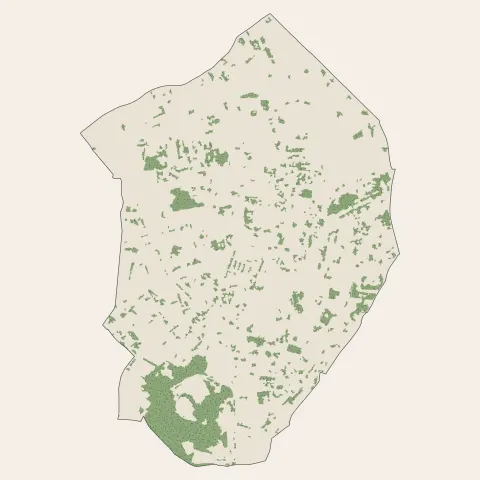 Talence : bois, forêts et landes