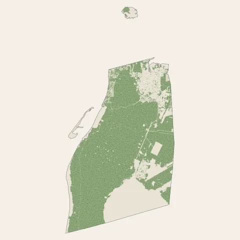 La Teste-de-Buch : bois, forêts et landes