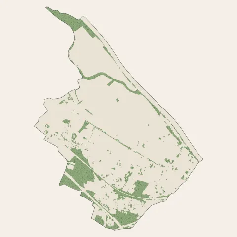Toulenne : bois, forêts et landes