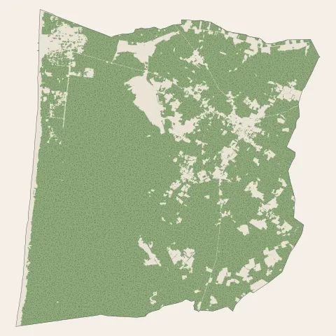 Vendays-Montalivet : bois, forêts et landes