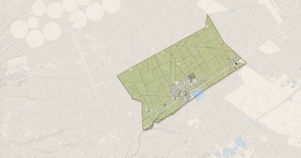 Portrait cartographique de Marcheprime : relief, eau, forêts, bâti et voies, calculés à partir des données de l'IGN