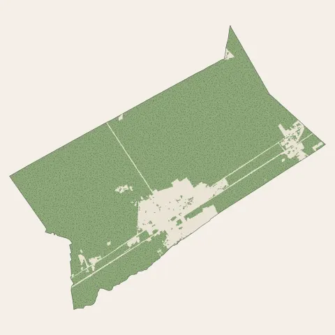 Marcheprime : bois, forêts et landes