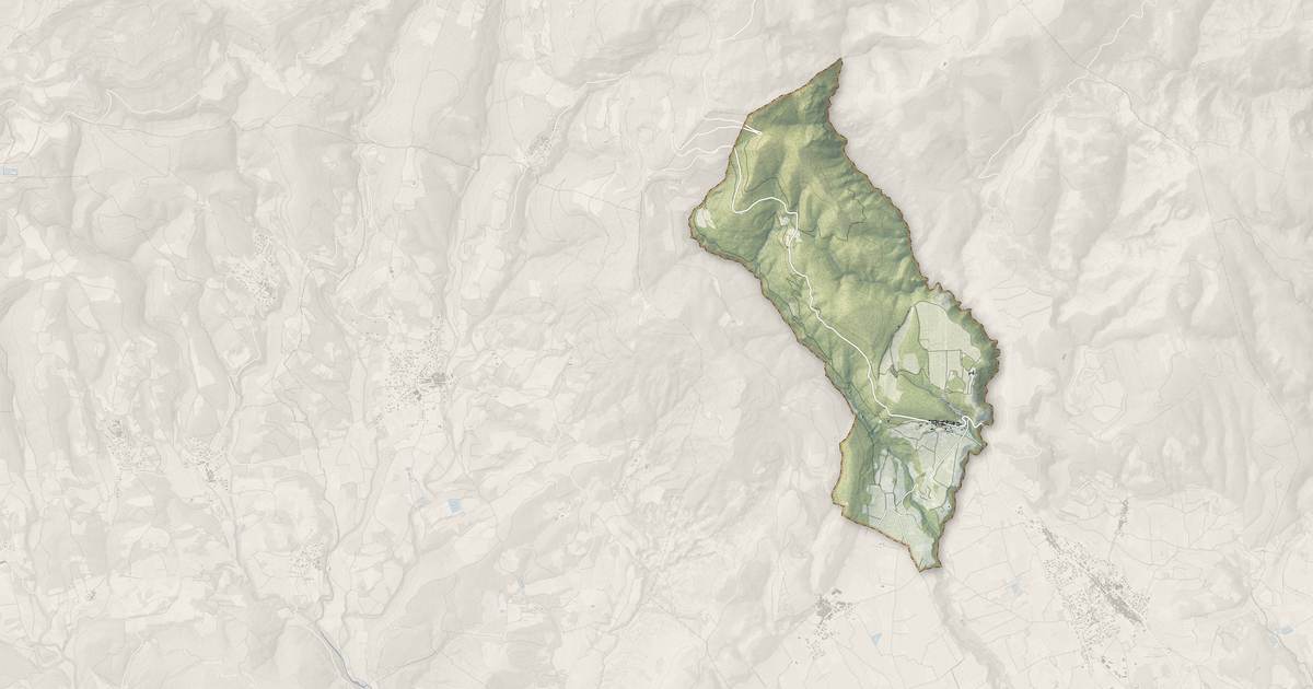 Portrait cartographique de Arboras : relief, eau, forêts, bâti et voies, calculés à partir des données de l'IGN