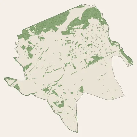Baillargues : bois, forêts et landes