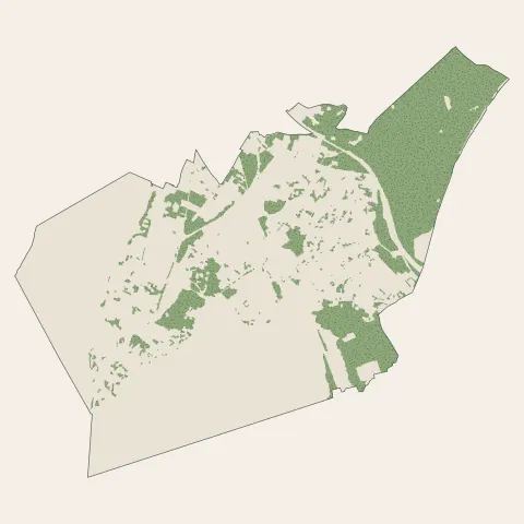 Balaruc-les-Bains : bois, forêts et landes