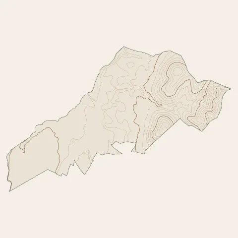 Balaruc-le-Vieux : courbes de niveau
