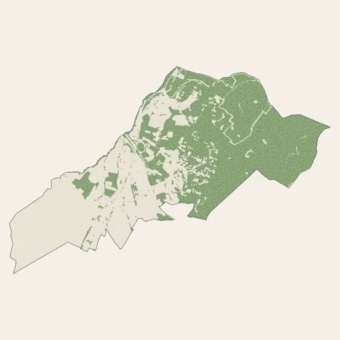 Balaruc-le-Vieux : bois, forêts et landes
