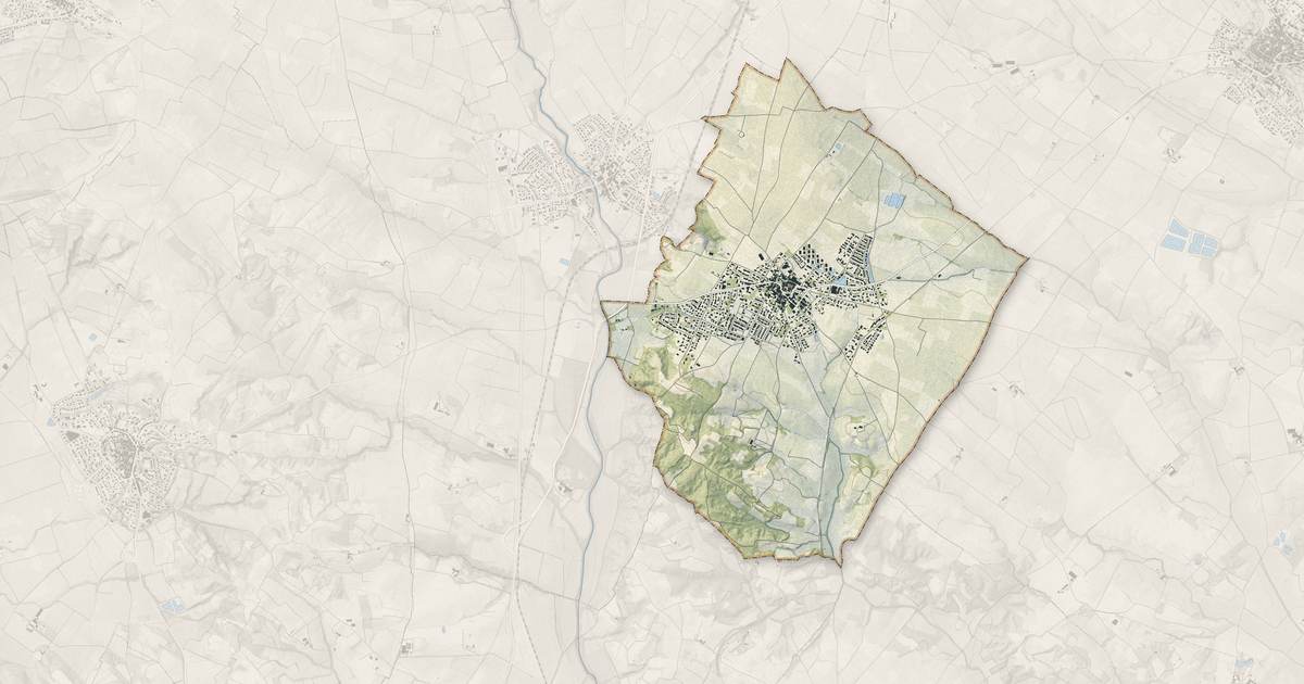 Portrait cartographique de Bassan : relief, eau, forêts, bâti et voies, calculés à partir des données de l'IGN