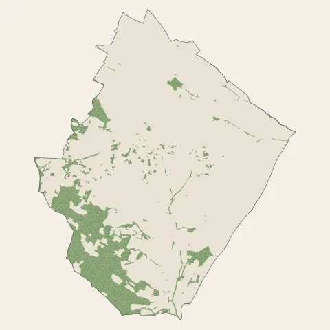 Bassan : bois, forêts et landes