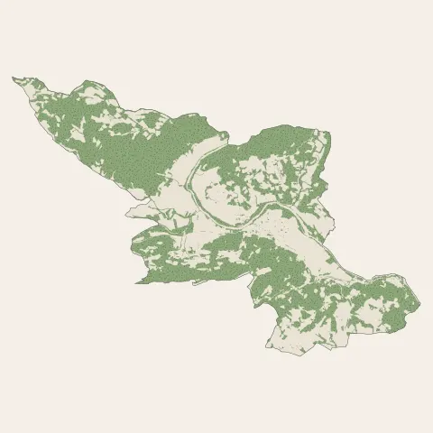 Cessenon-sur-Orb : bois, forêts et landes