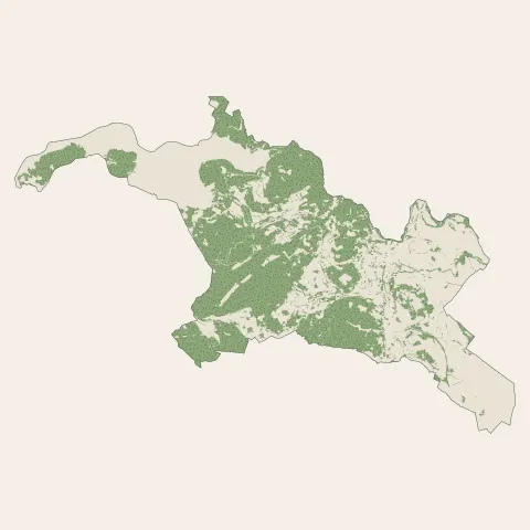 Clermont-l'Hérault : bois, forêts et landes