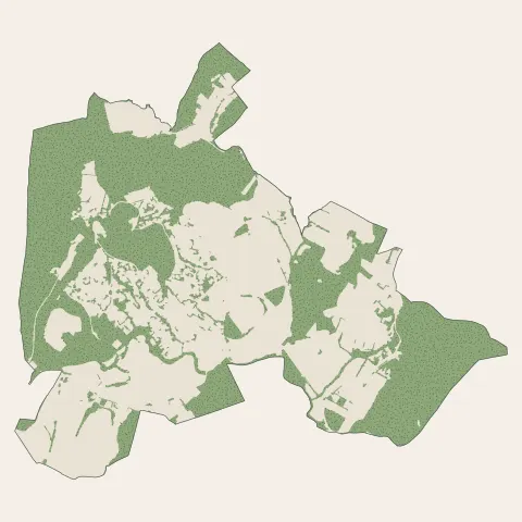 Combaillaux : bois, forêts et landes