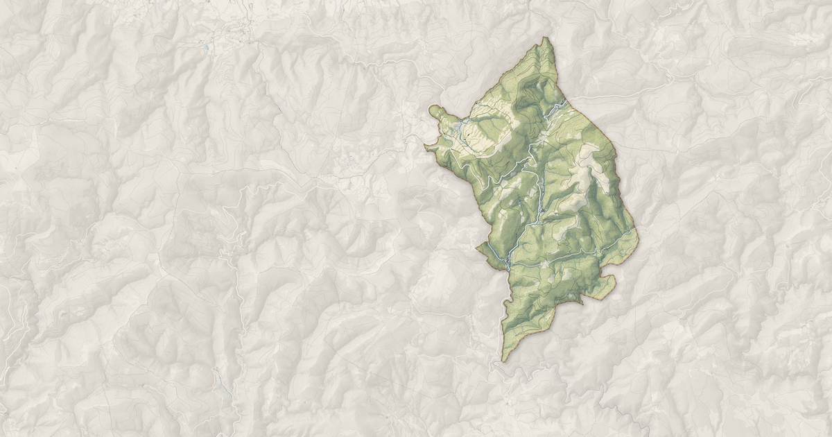 Portrait cartographique de Ferrals-les-Montagnes : relief, eau, forêts, bâti et voies, calculés à partir des données de l'IGN