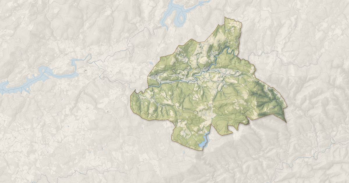 Portrait cartographique de Fraisse-sur-Agout : relief, eau, forêts, bâti et voies, calculés à partir des données de l'IGN