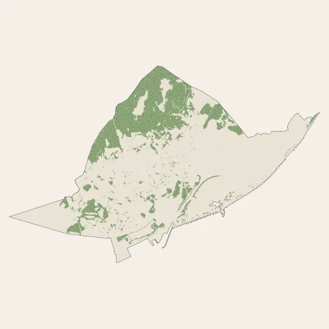 Frontignan : bois, forêts et landes
