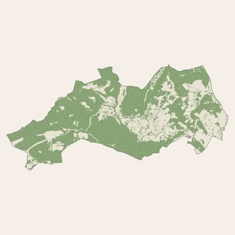 Grabels : bois, forêts et landes