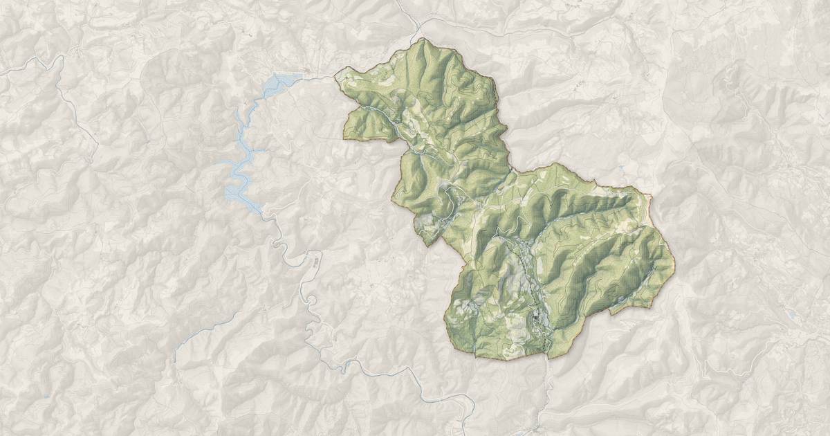 Portrait cartographique de Joncels : relief, eau, forêts, bâti et voies, calculés à partir des données de l'IGN