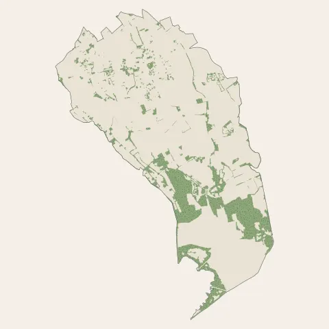 Lansargues : bois, forêts et landes