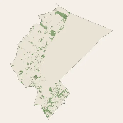 Marseillan : bois, forêts et landes