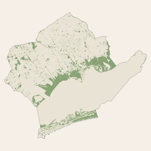 Mauguio : bois, forêts et landes