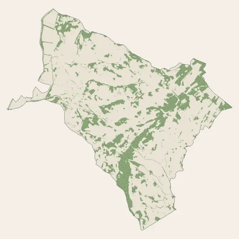 Montagnac : bois, forêts et landes