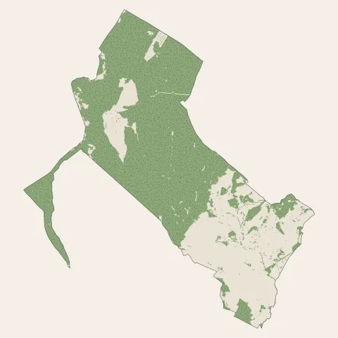 Montbazin : bois, forêts et landes