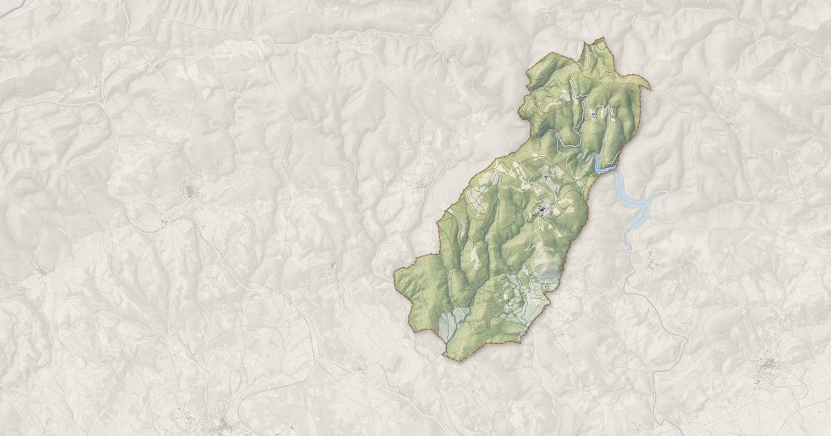 Portrait cartographique de Montesquieu : relief, eau, forêts, bâti et voies, calculés à partir des données de l'IGN