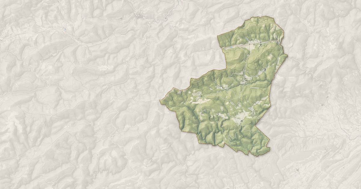 Portrait cartographique de Pardailhan : relief, eau, forêts, bâti et voies, calculés à partir des données de l'IGN