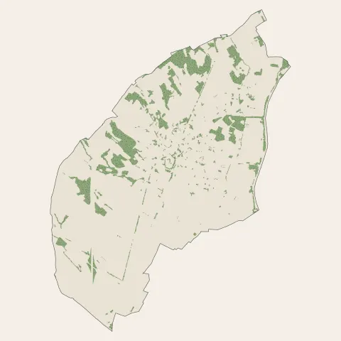Paulhan : bois, forêts et landes