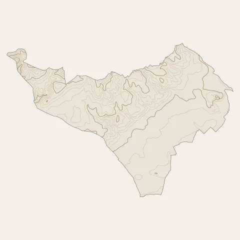 Pignan : courbes de niveau