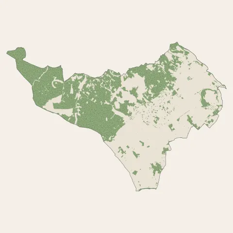 Pignan : bois, forêts et landes