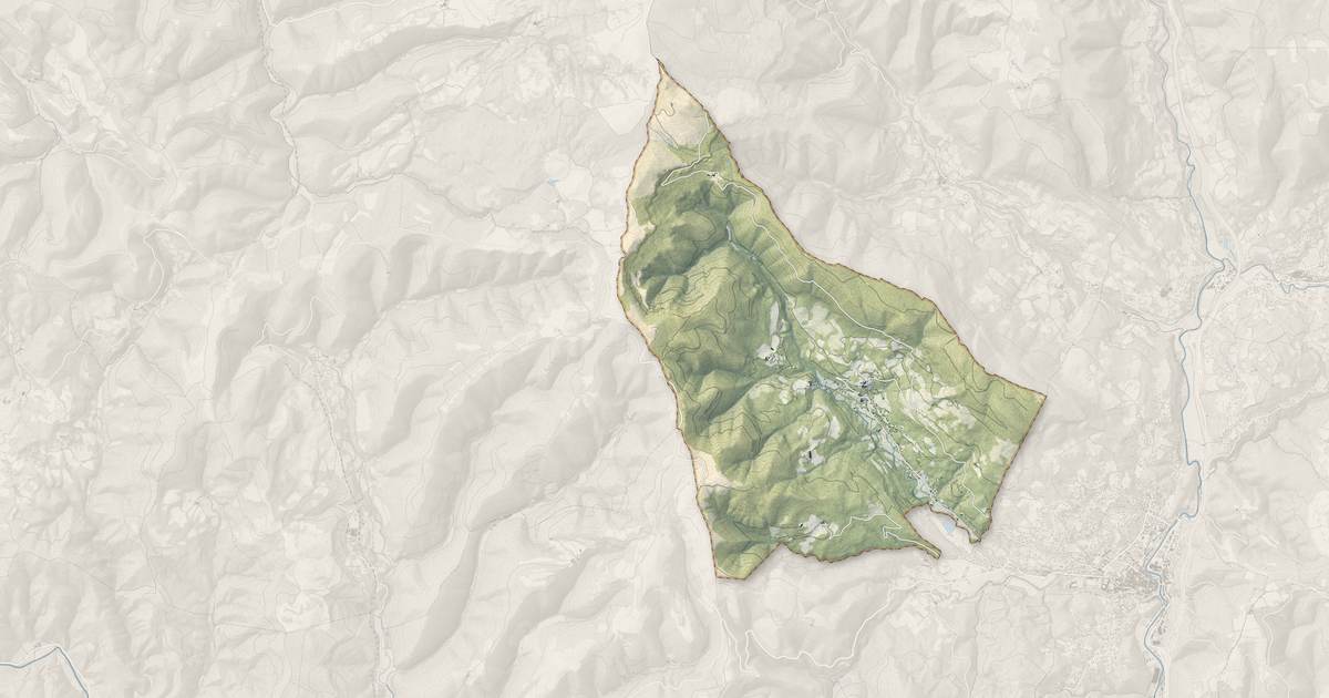 Portrait cartographique de Les Plans : relief, eau, forêts, bâti et voies, calculés à partir des données de l'IGN