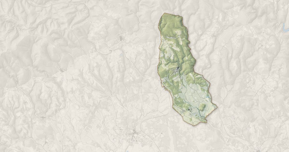 Portrait cartographique de Roquessels : relief, eau, forêts, bâti et voies, calculés à partir des données de l'IGN