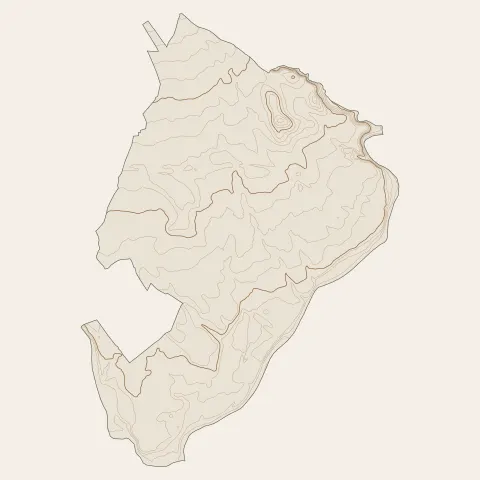 Saint-André-de-Sangonis : courbes de niveau