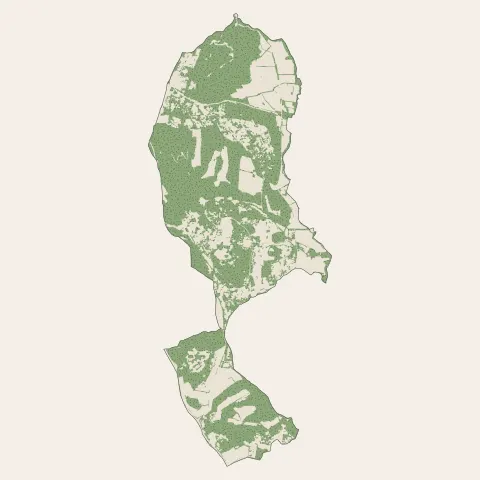 Saint-Clément-de-Rivière : bois, forêts et landes