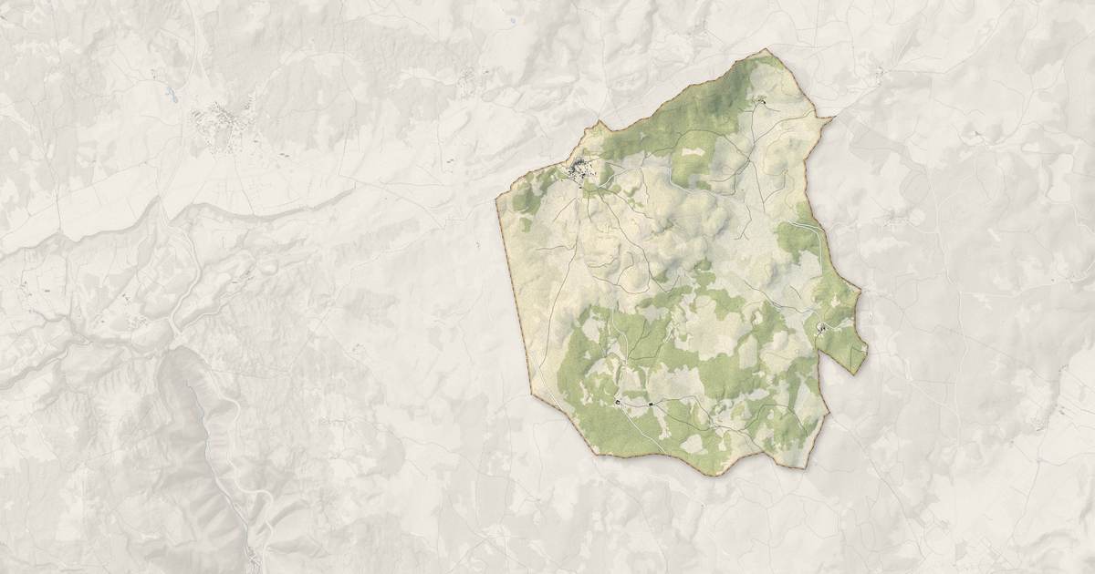 Portrait cartographique de Saint-Michel : relief, eau, forêts, bâti et voies, calculés à partir des données de l'IGN