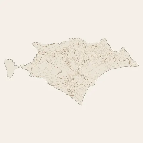 Saint-Pargoire : courbes de niveau