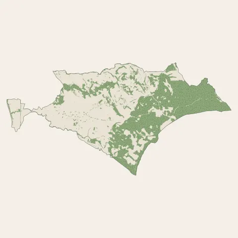 Saint-Pargoire : bois, forêts et landes