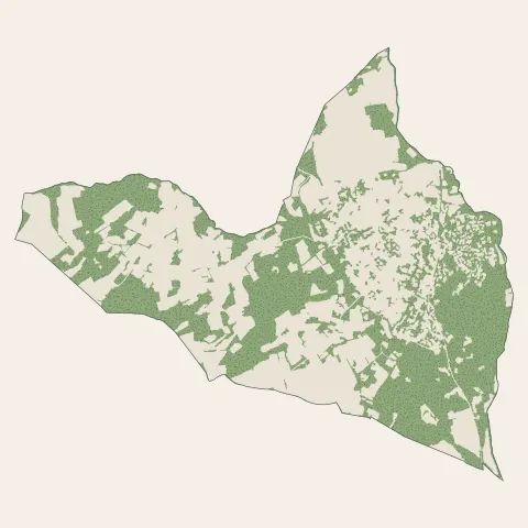 Sussargues : bois, forêts et landes