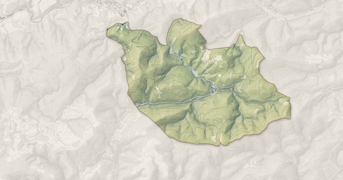 Portrait cartographique de Verreries-de-Moussans : relief, eau, forêts, bâti et voies, calculés à partir des données de l'IGN