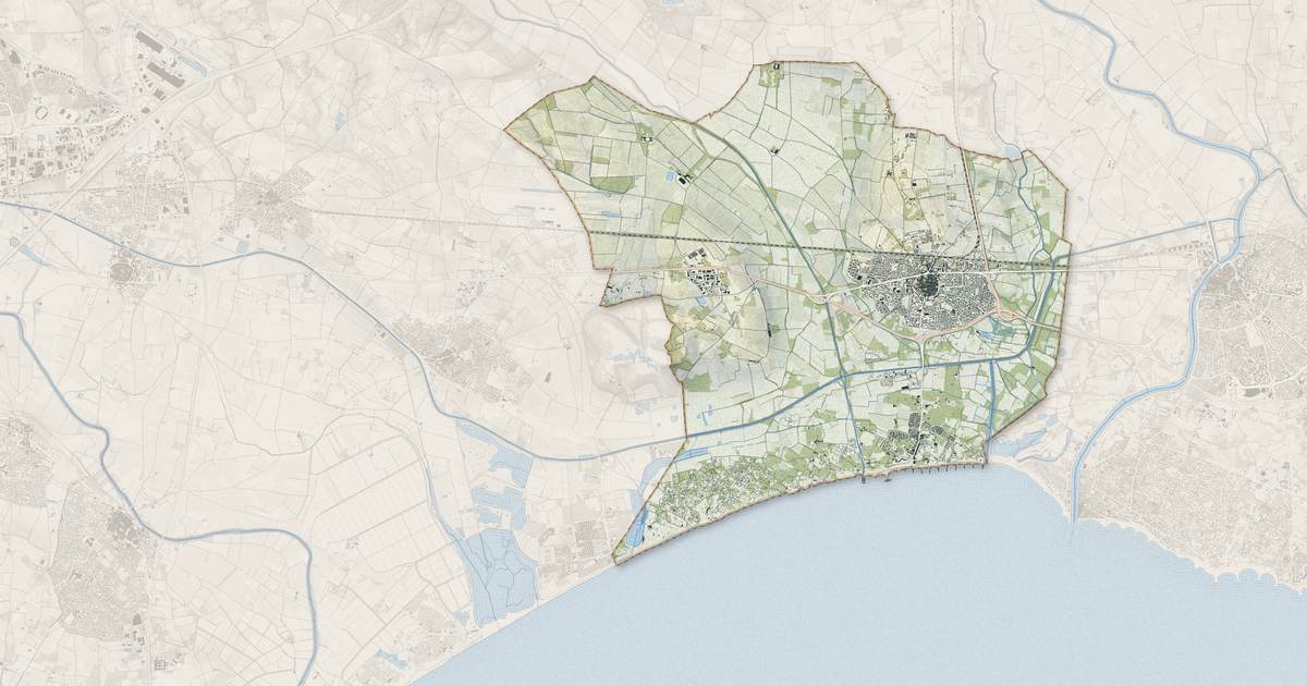Portrait cartographique de Vias : relief, eau, forêts, bâti et voies, calculés à partir des données de l'IGN