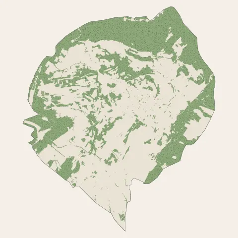 Villeveyrac : bois, forêts et landes