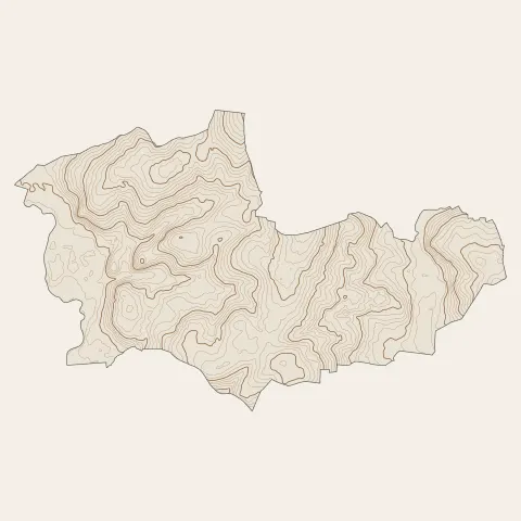 Cintré : courbes de niveau