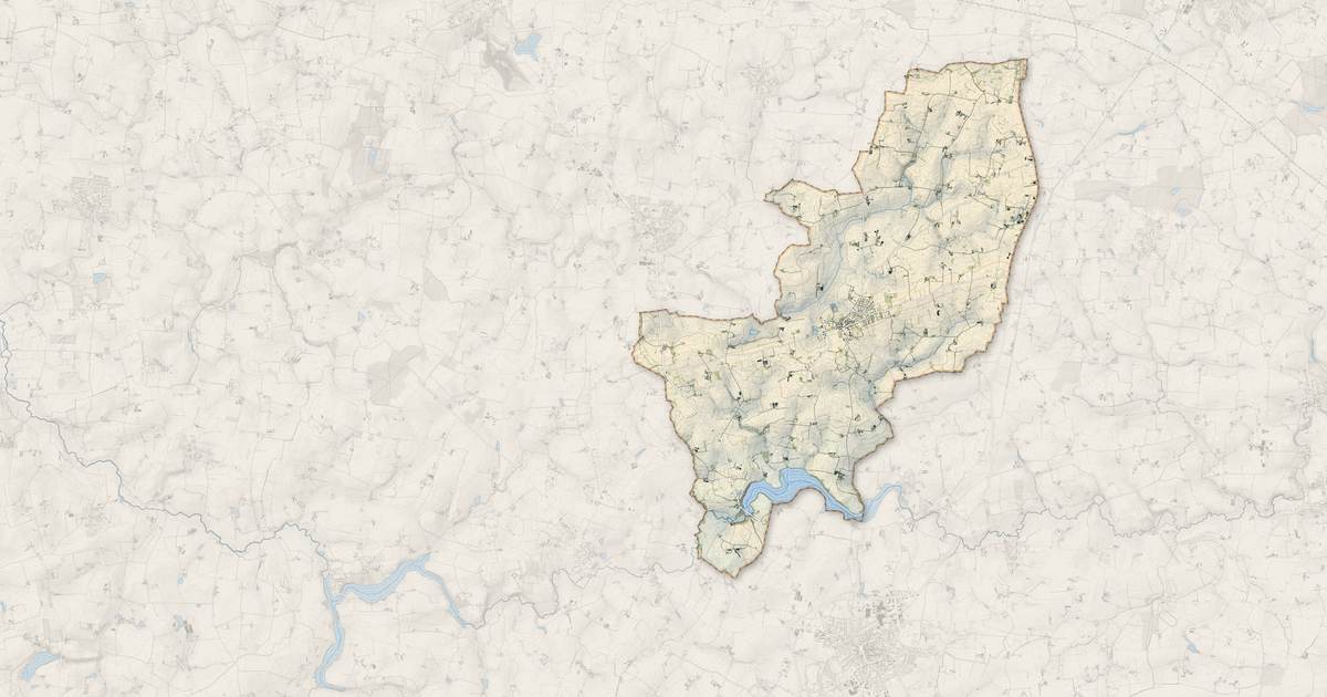 Portrait cartographique de Domalain : relief, eau, forêts, bâti et voies, calculés à partir des données de l'IGN