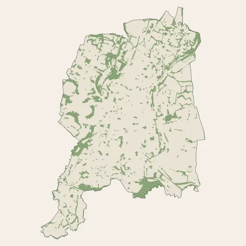 Fougères : bois, forêts et landes