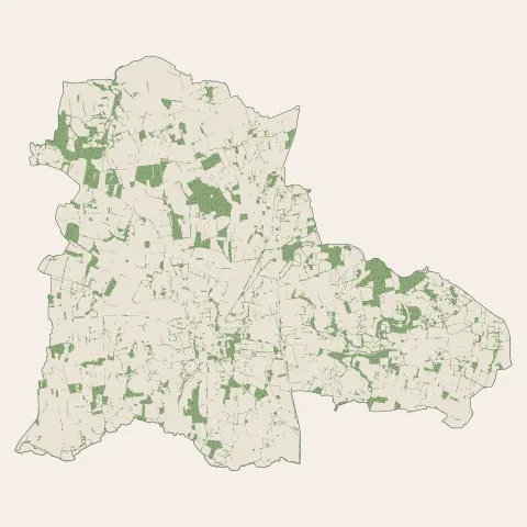 Grand-Fougeray : bois, forêts et landes