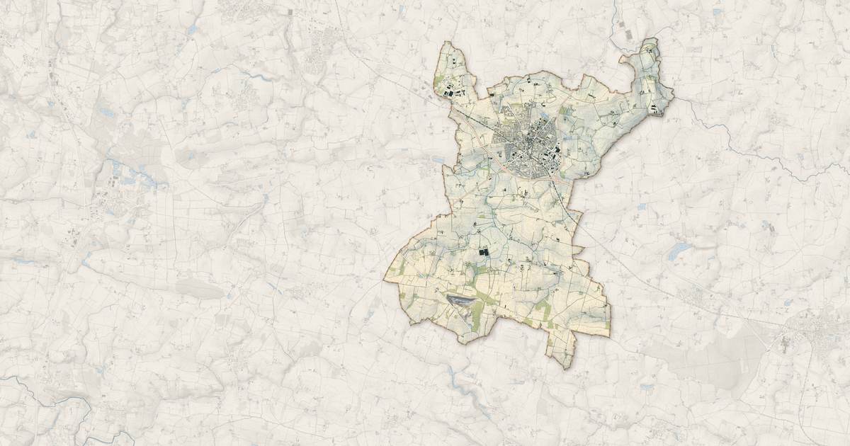 Portrait cartographique de Janzé : relief, eau, forêts, bâti et voies, calculés à partir des données de l'IGN